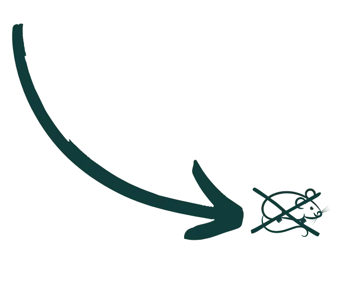 arrow call to action