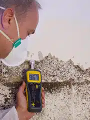derattizzare con gli ultrasuoni