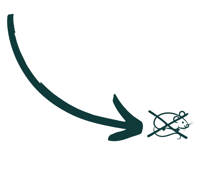 arrow call to action