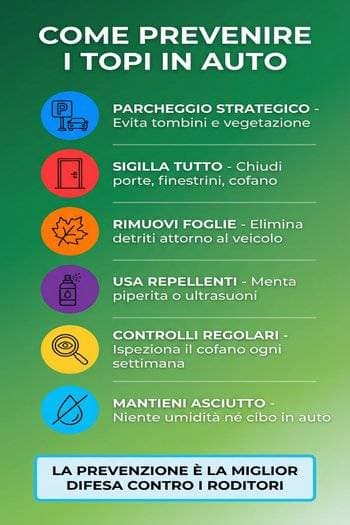 infografica prevenire topi in automobile