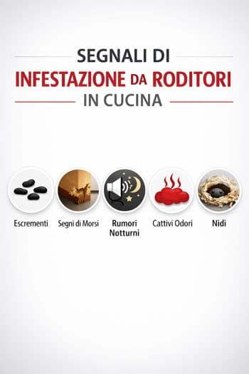infografica topi nel ristorante segnali
