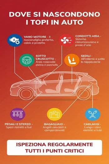 dove si nascondono i topi in auto