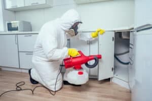 repellente topo professionale