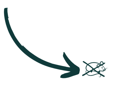 arrow call to action