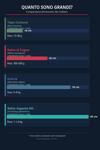 infografica pericoli topi giranti